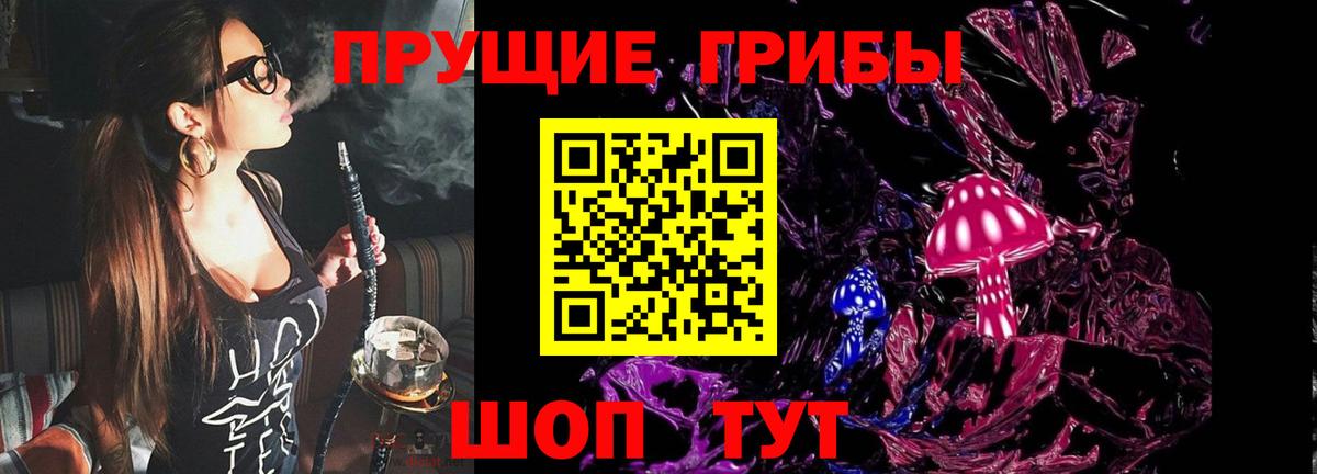 Псилоцибиновые грибы Cubensis  Псилоцибиновые грибы мицелий  Вход с VPN  Елабуга 